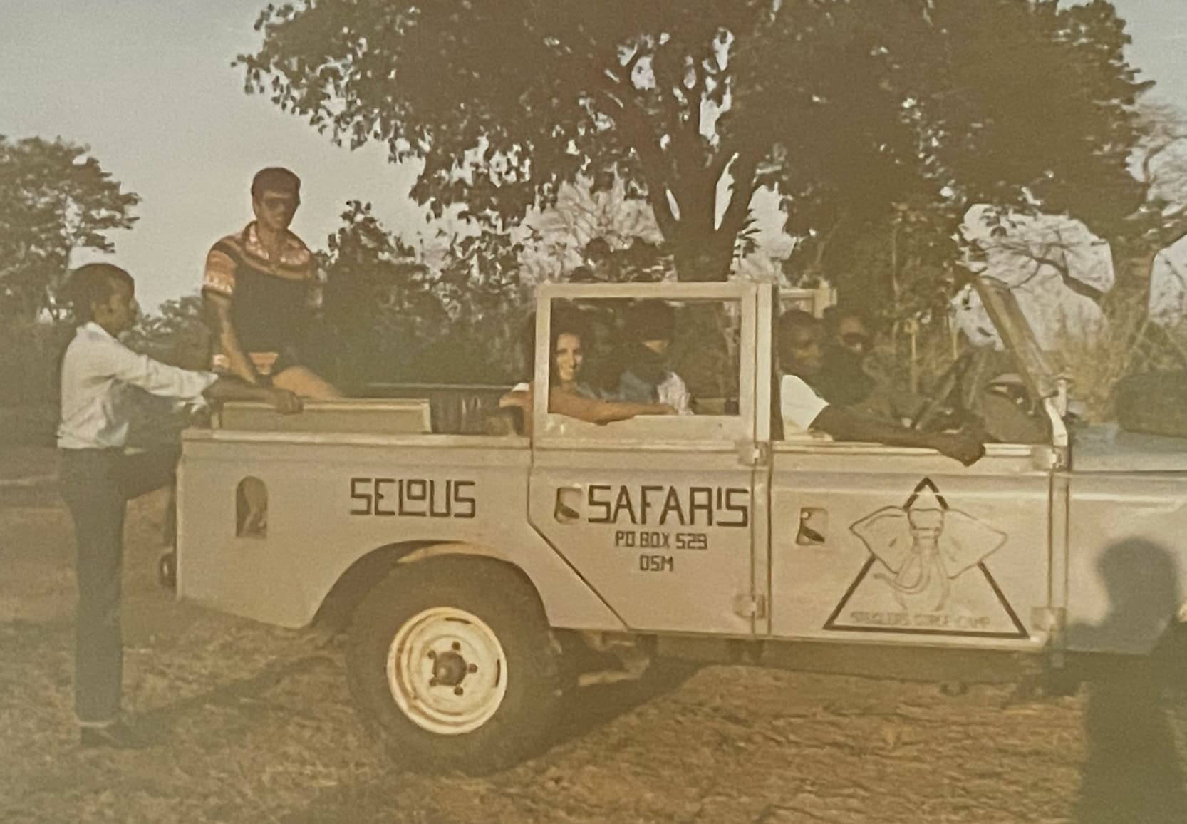 Safari scene