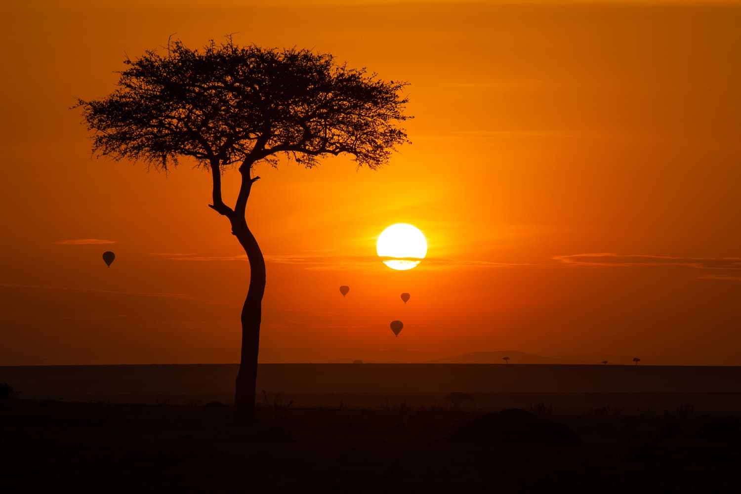 Maasai Mara