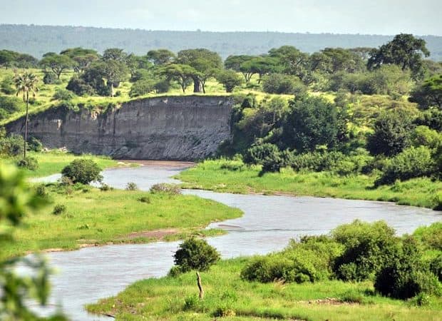Tarangire National Park River