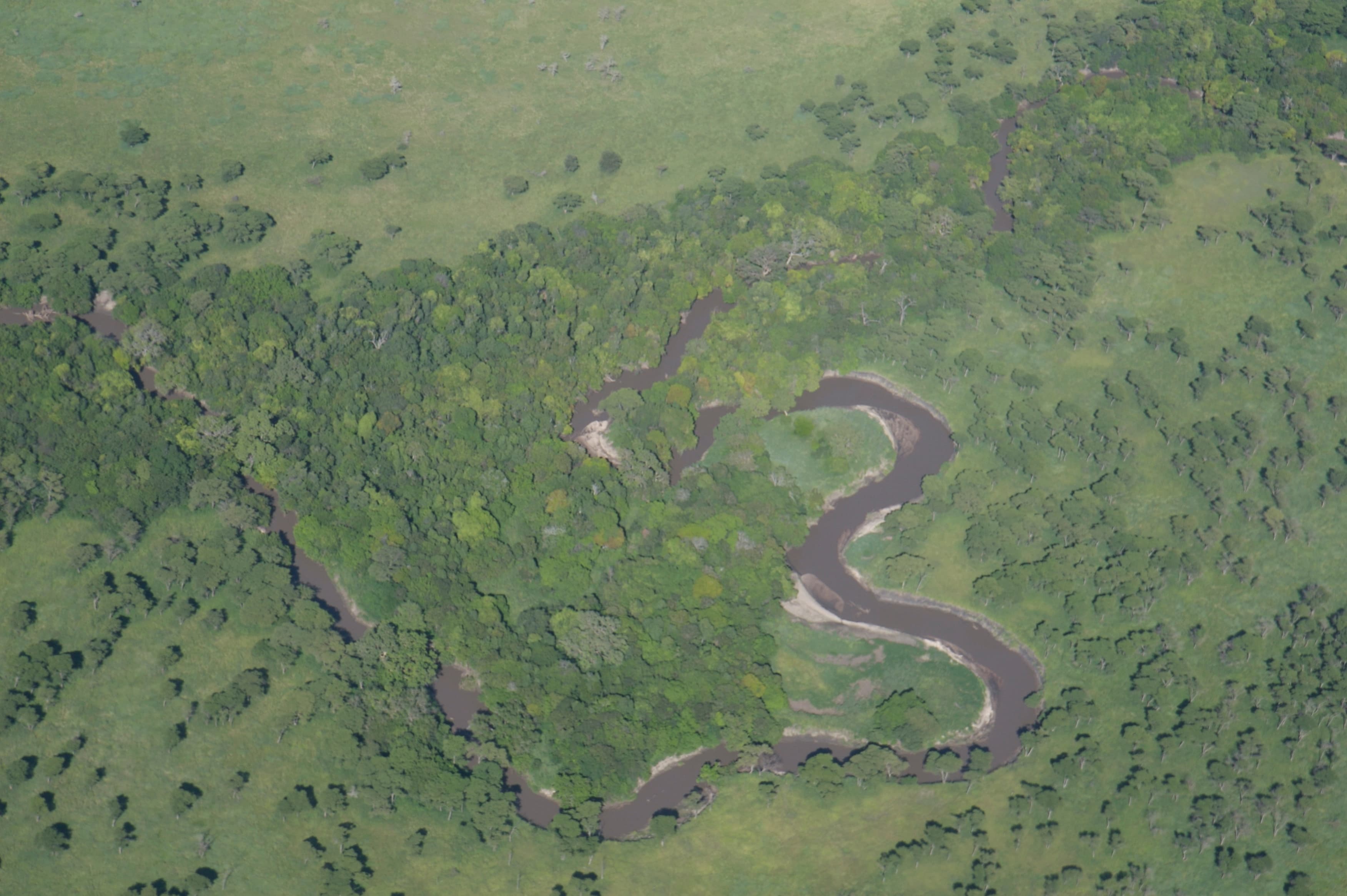 Grumeti RIver