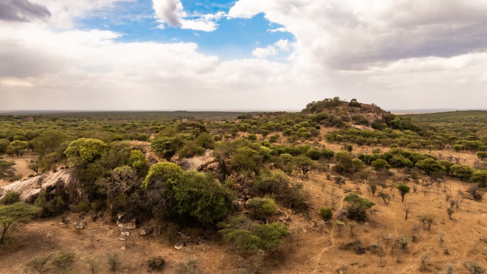 Charlie, Southwest Serengeti