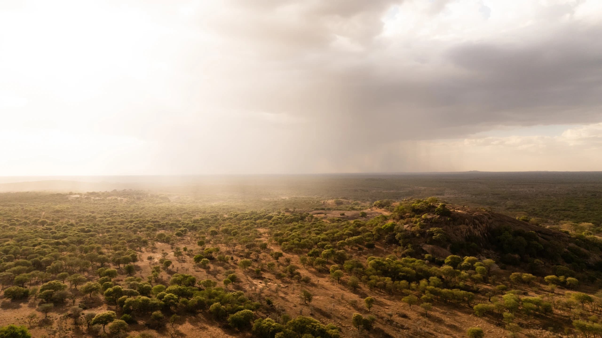 Charlie, Southwest Serengeti