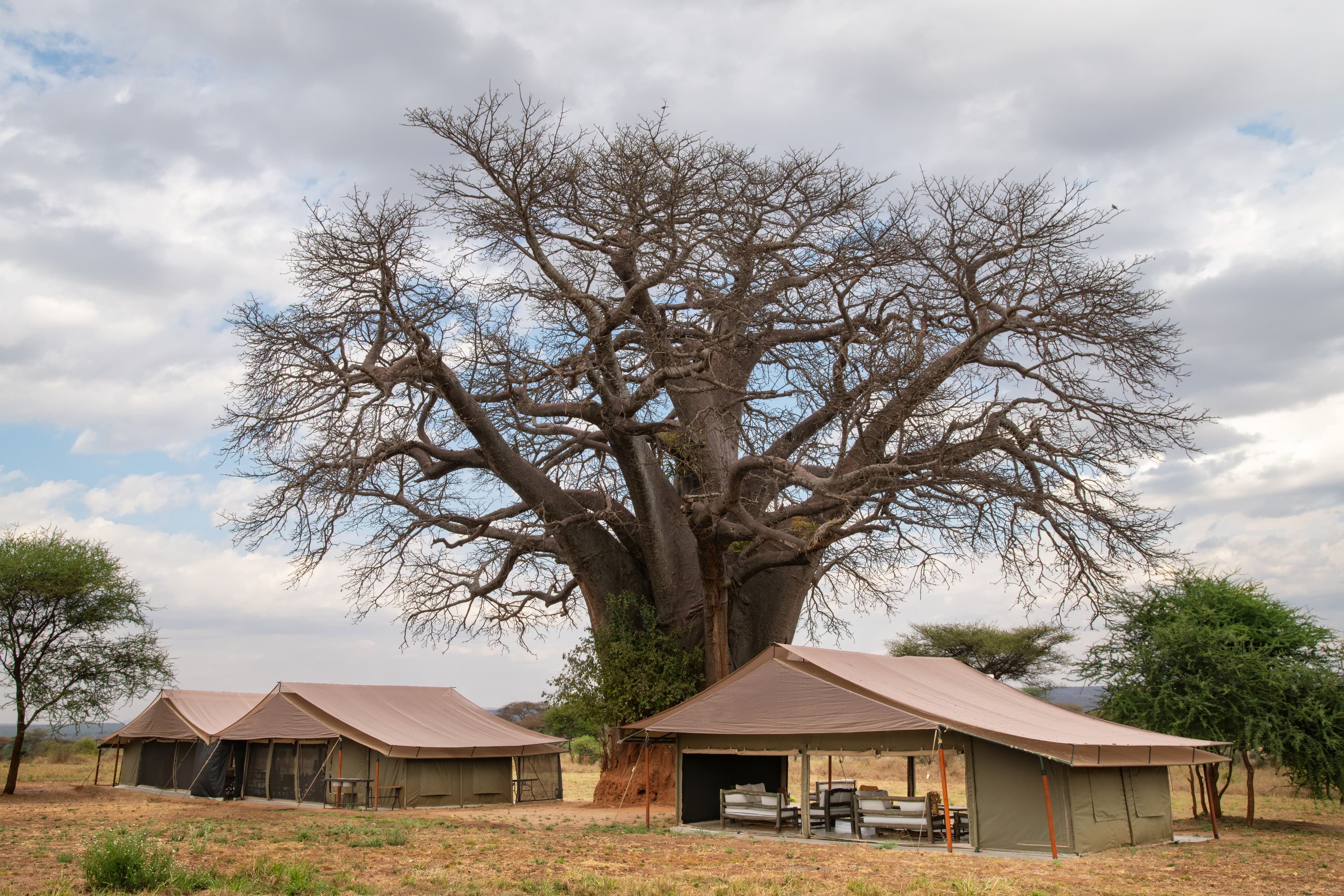 Tarangire Kati Kati National Park