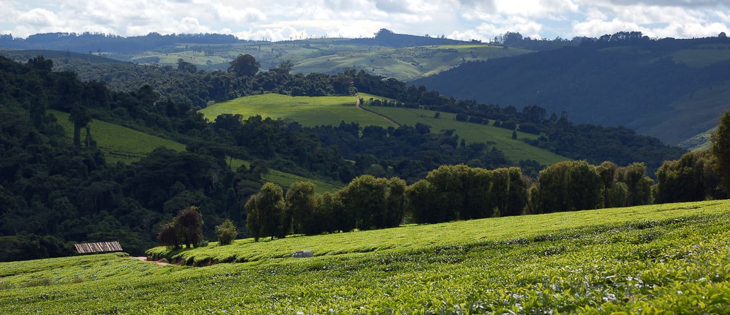 Iringa Town