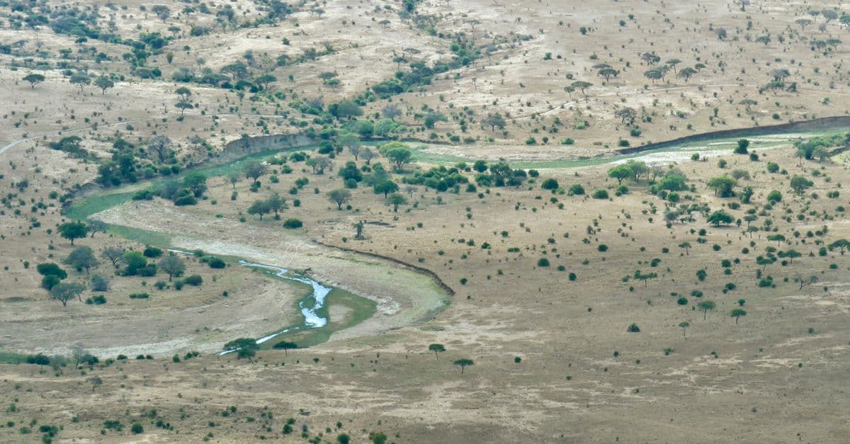 Tarangire National Park Entry Gate