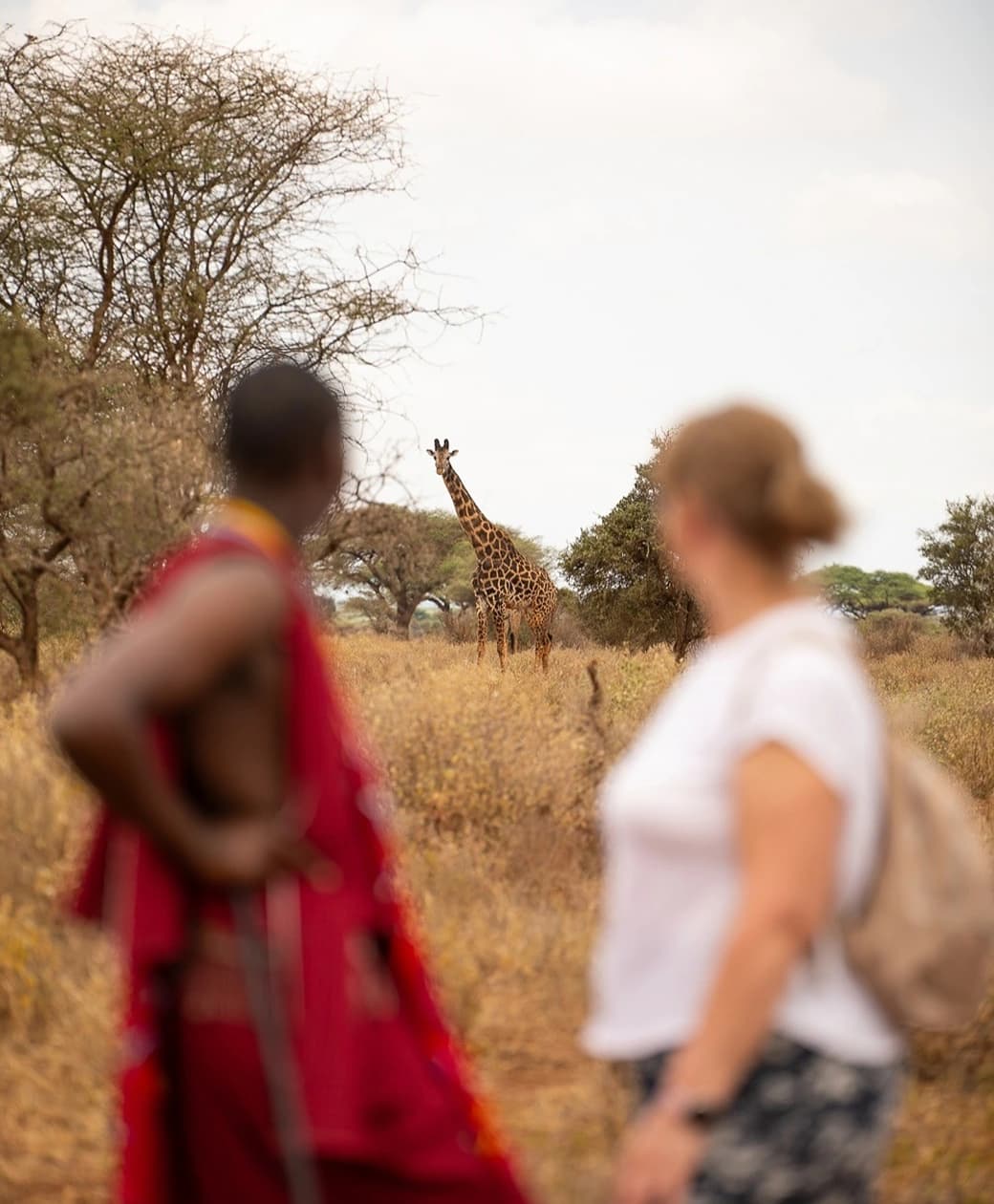 Tulia Amboseli Safari Camp