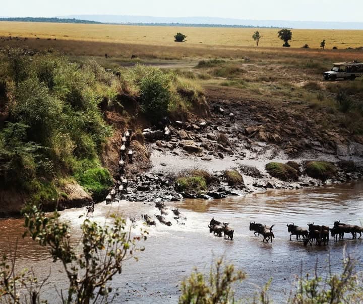 Mara Simba Lodge