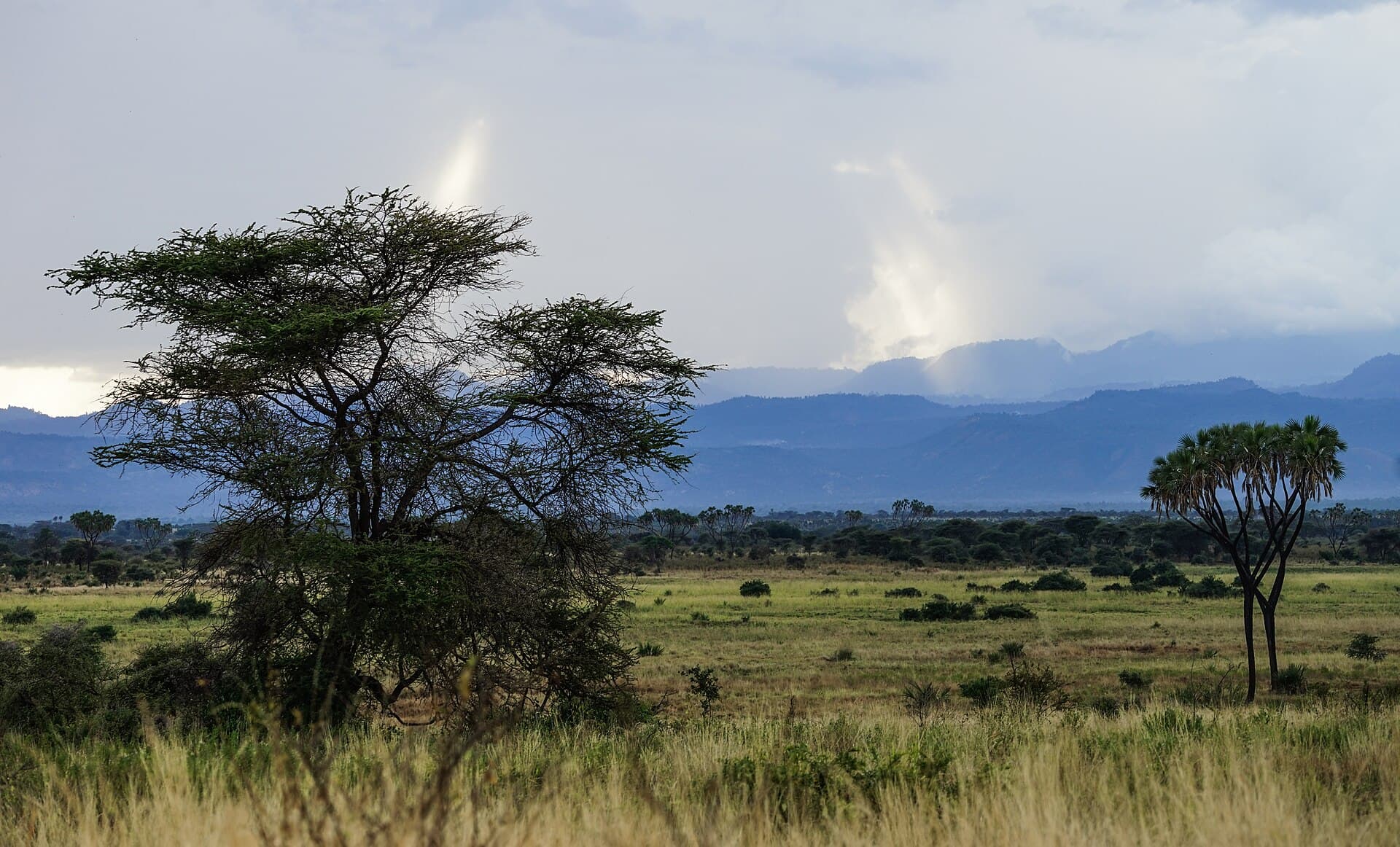 Meru National Park