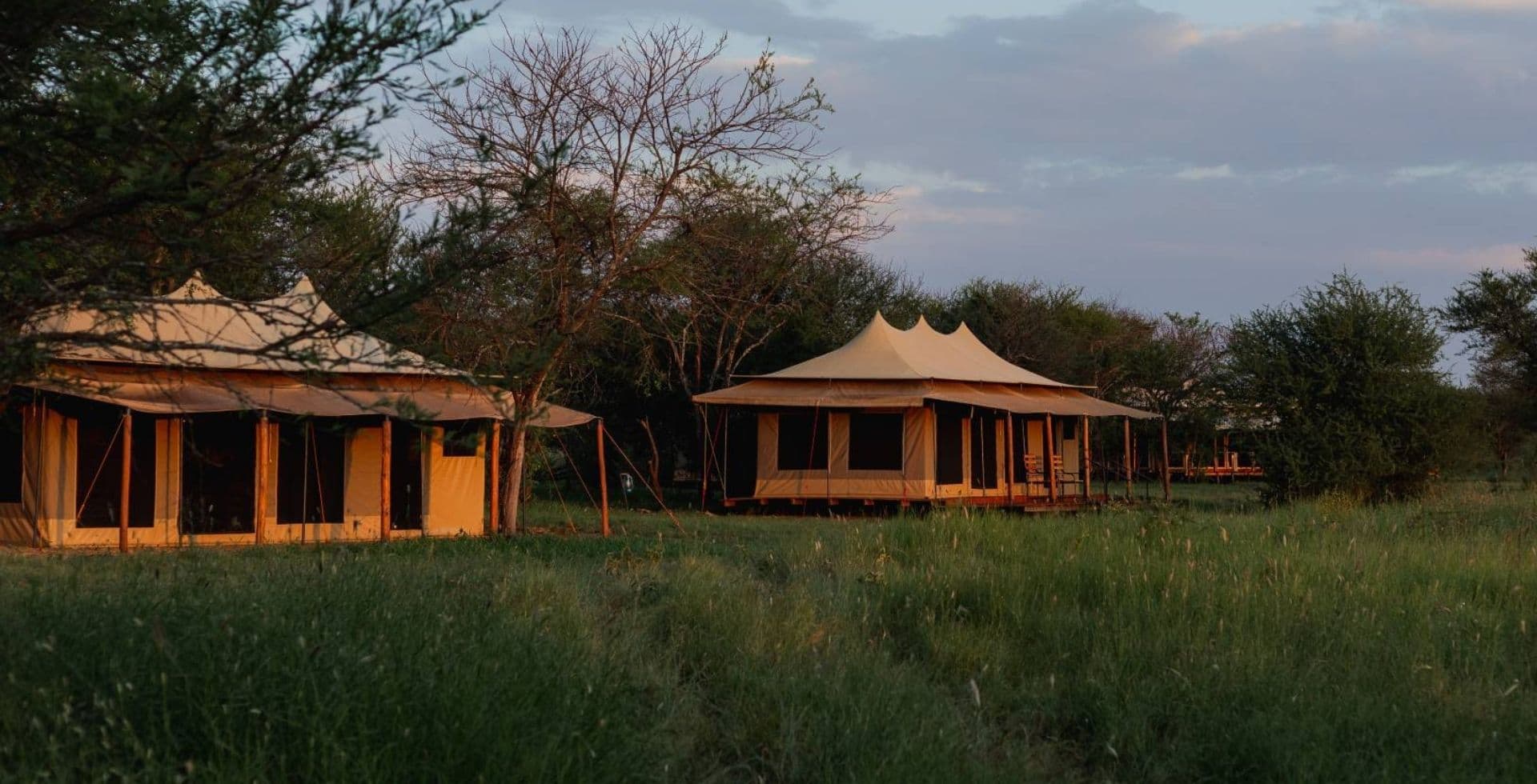 Serengeti House of Nature Camp