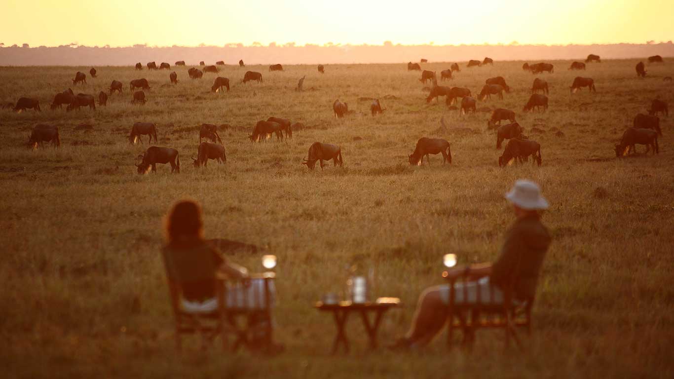 Elephant Pepper Camp
