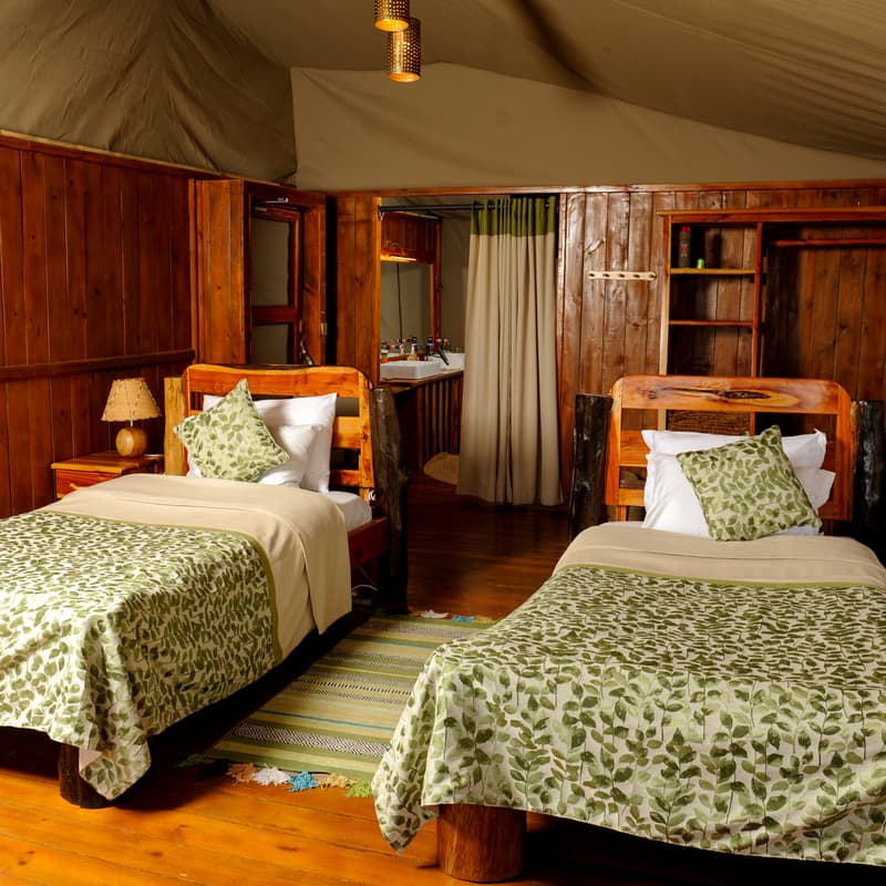 Tangulia Ndogo family tent