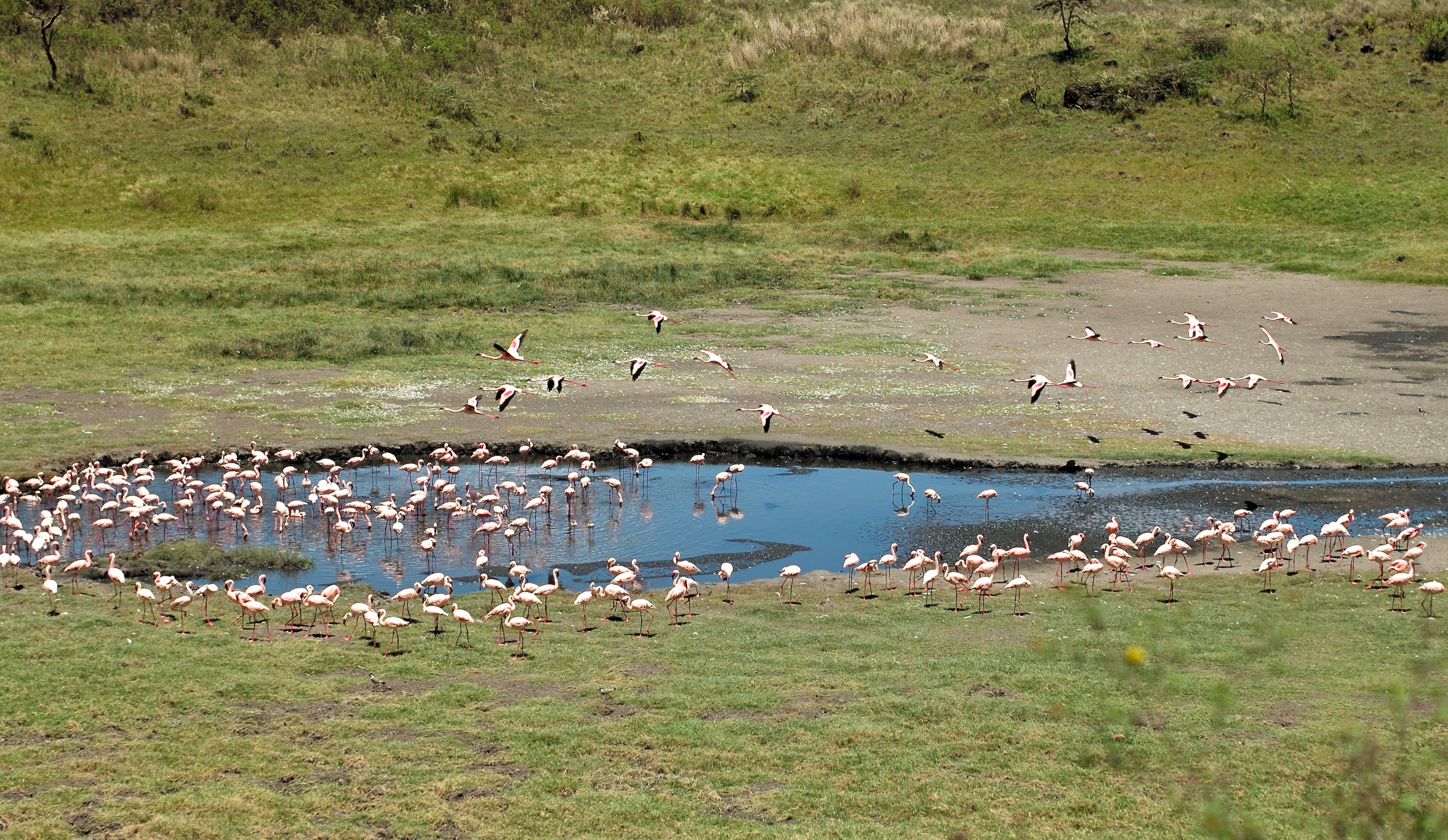 Momella Lake