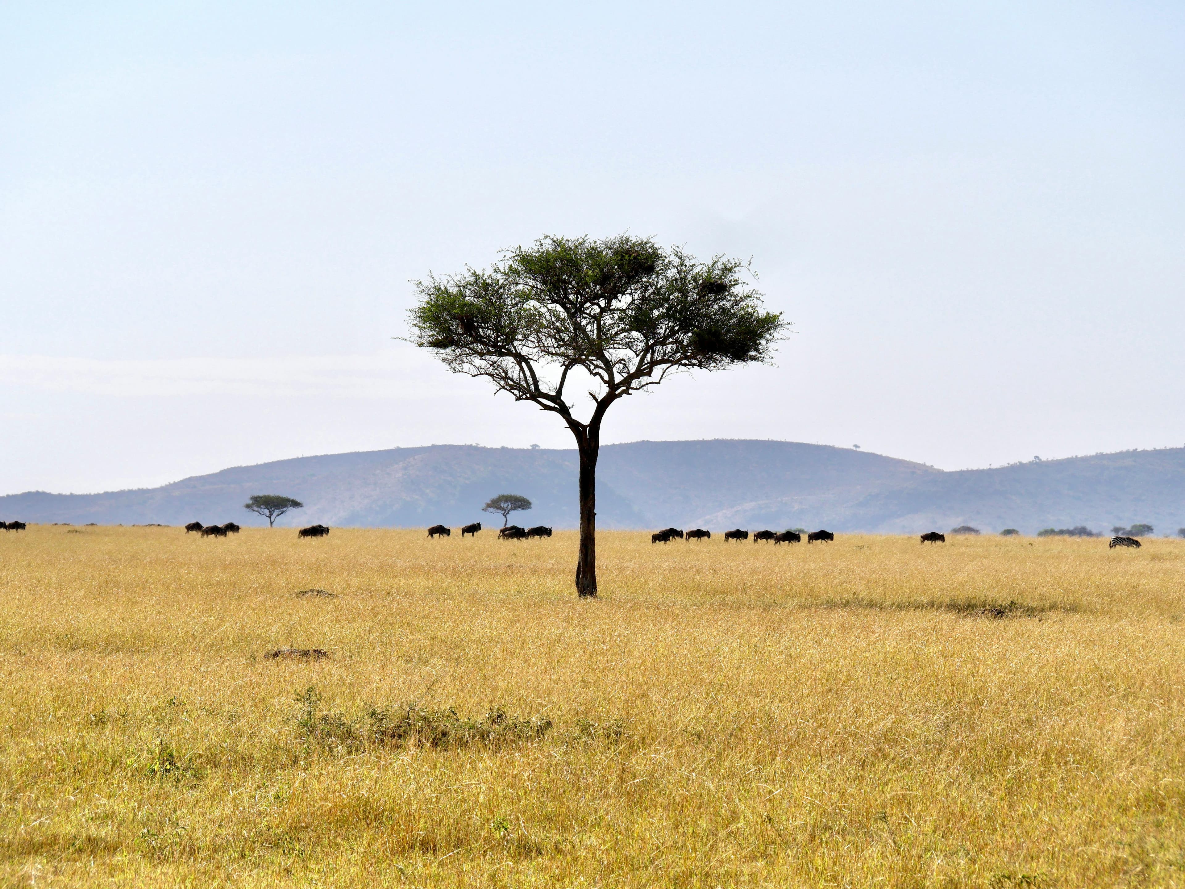 Serengeti National Park