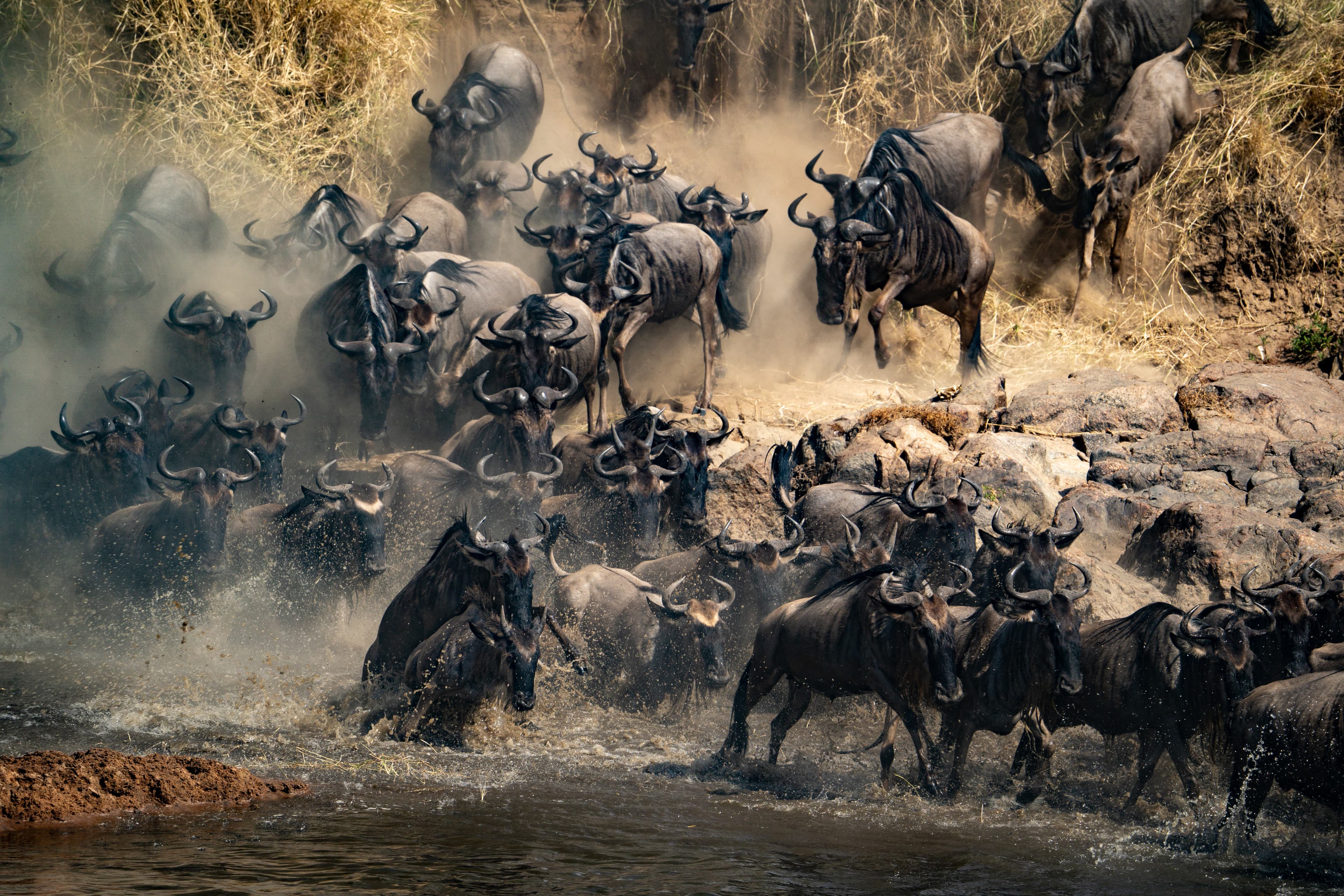 Serengeti National Park