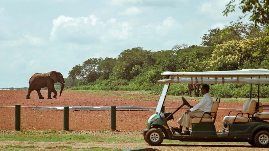Chobe Safari Lodge
