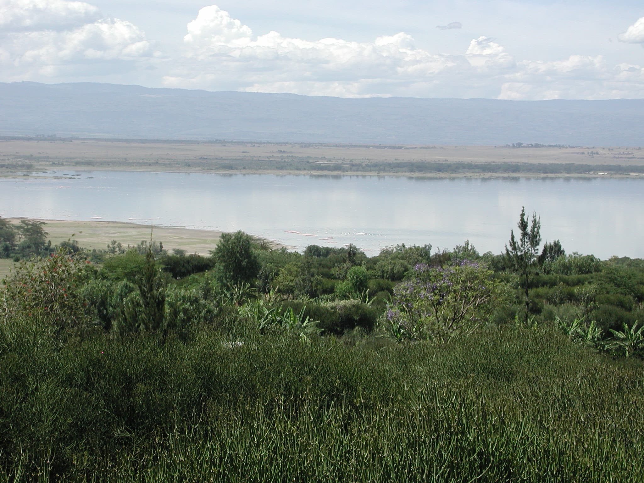 Lake Elmenteita