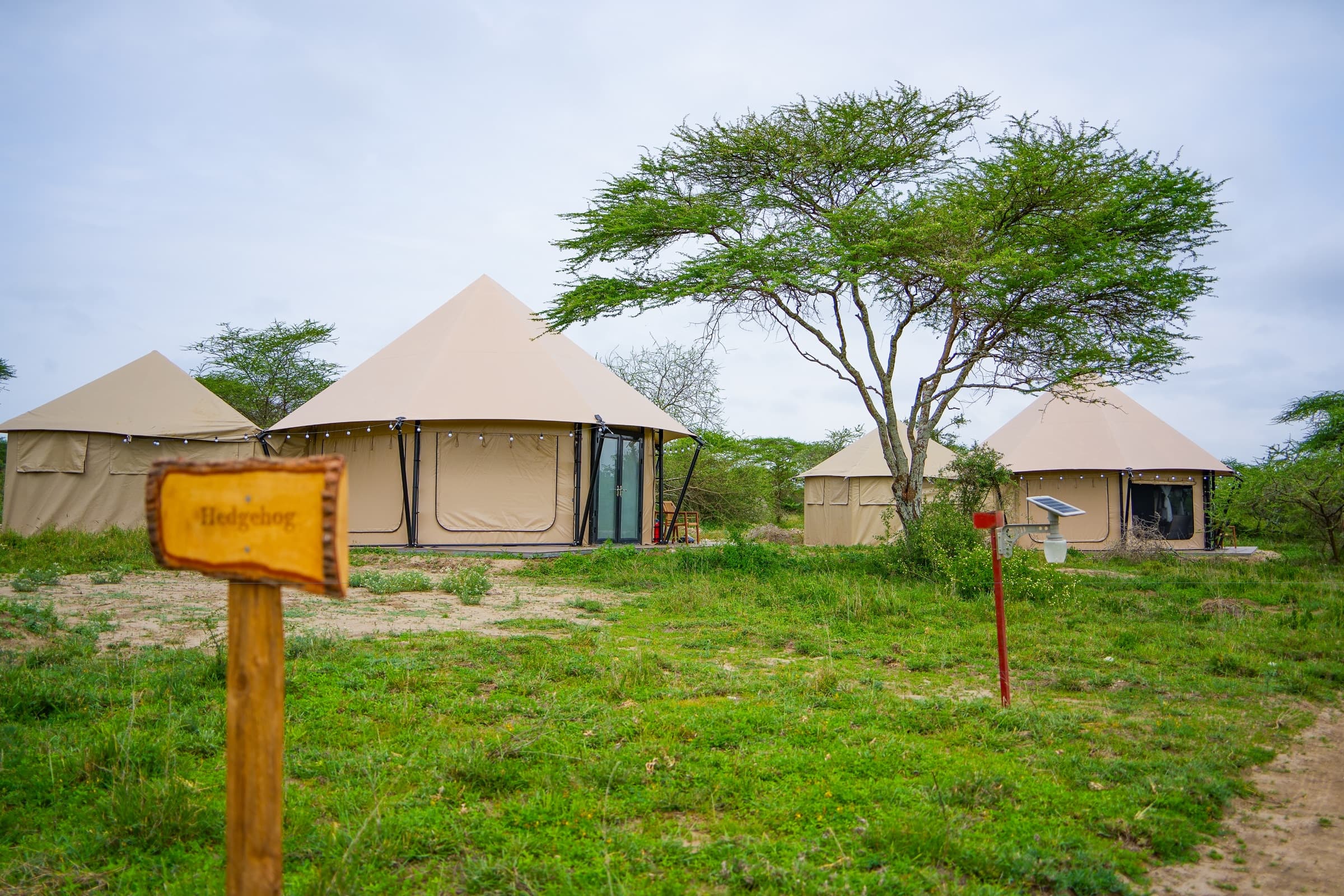 Malaika Mara River Luxury Camp