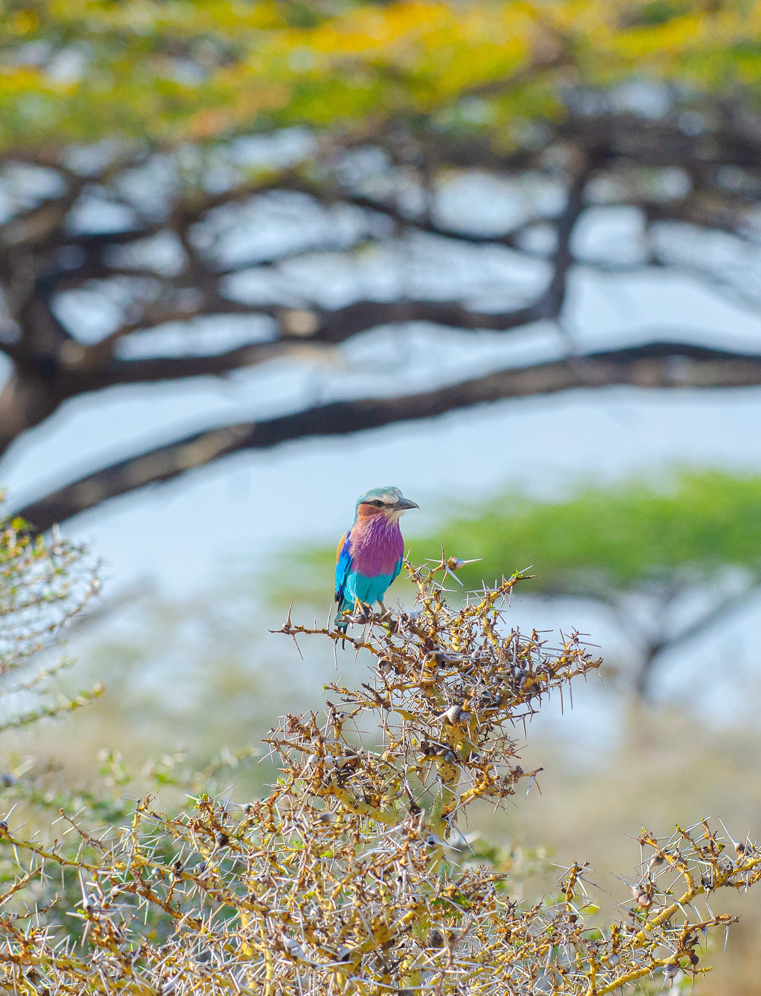 Nyerere National Park