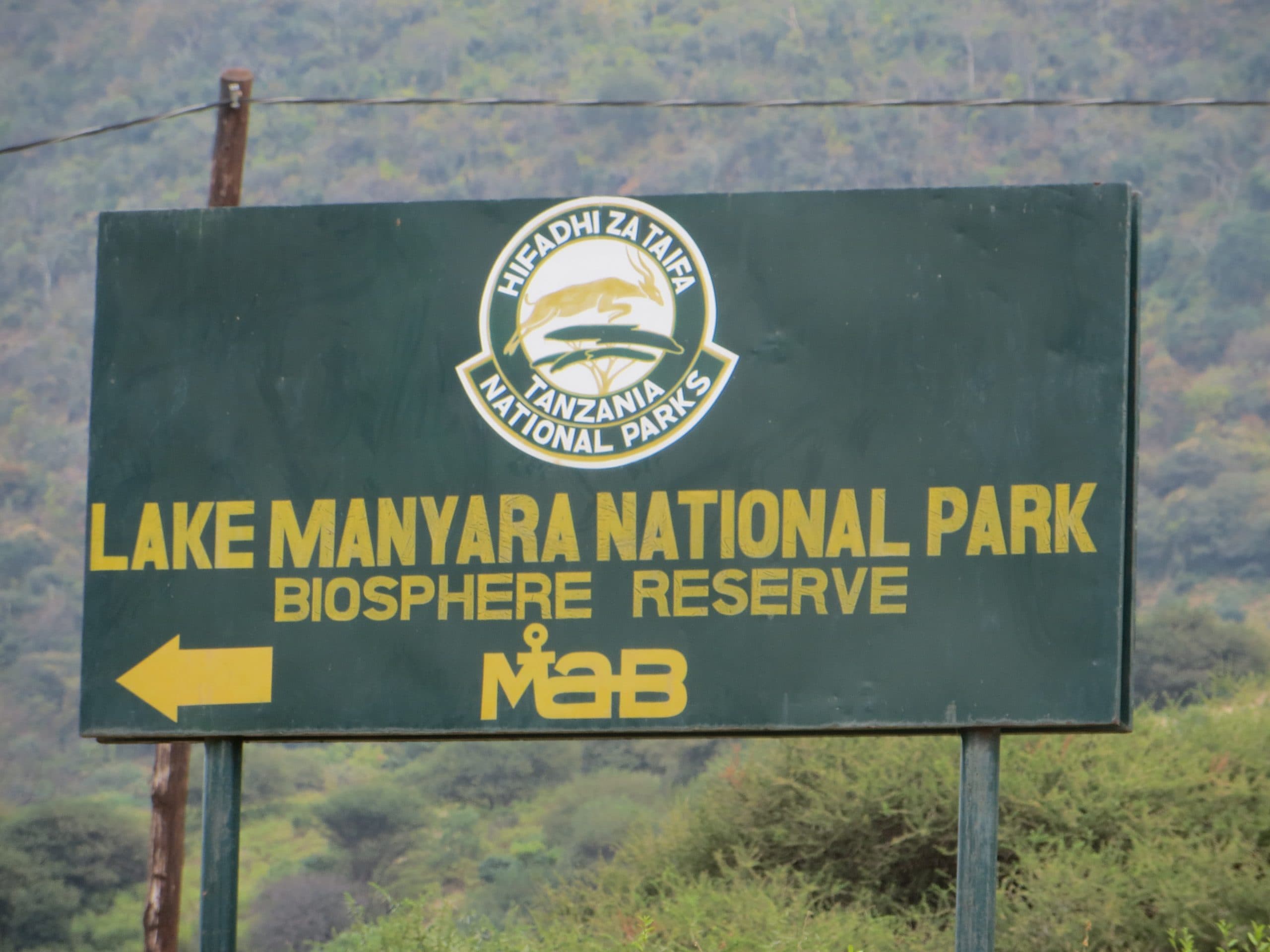Lake Manyara national Park