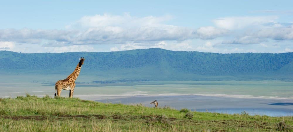 Entamanu Ngorongoro