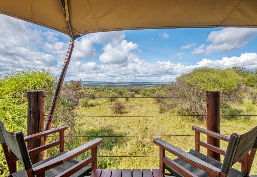 Tarangire Kuro Treetops Lodge