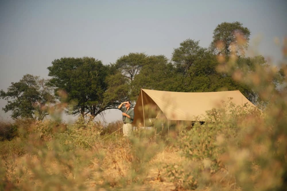 Charlie, Ruaha