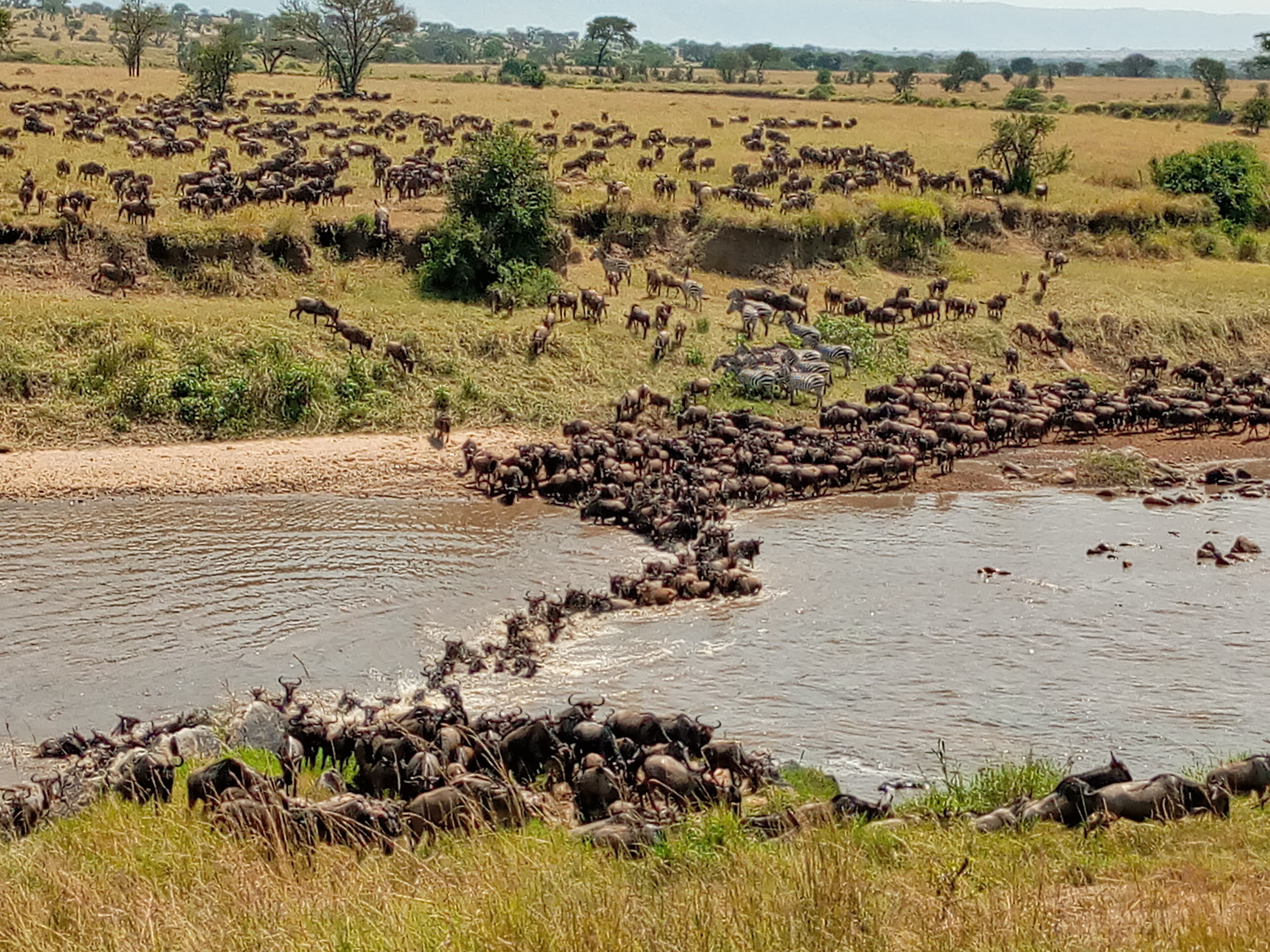 Mara River Crossing Point
