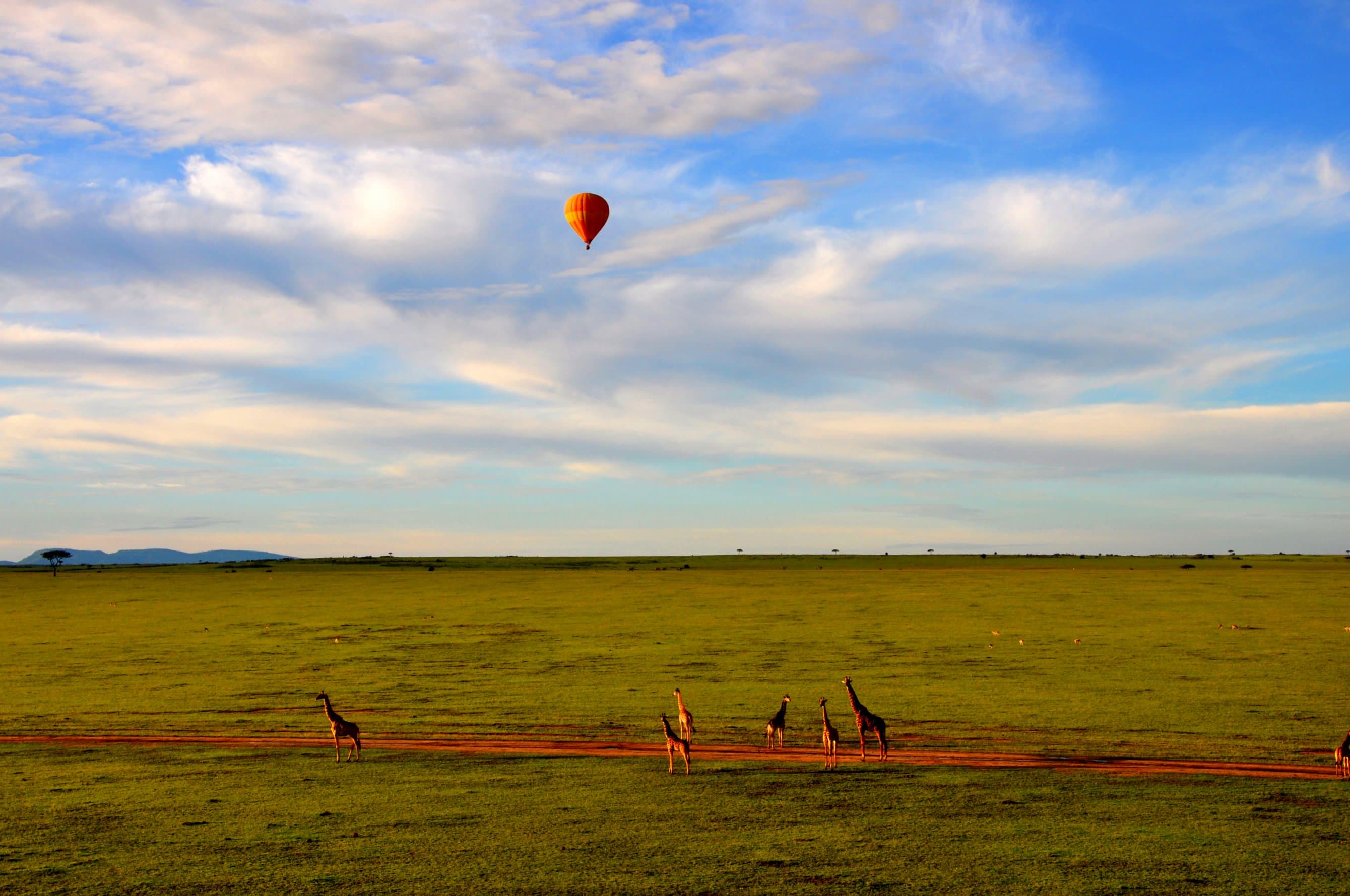 Narok