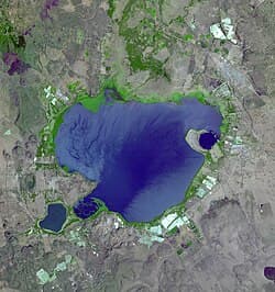 lake Naivasha