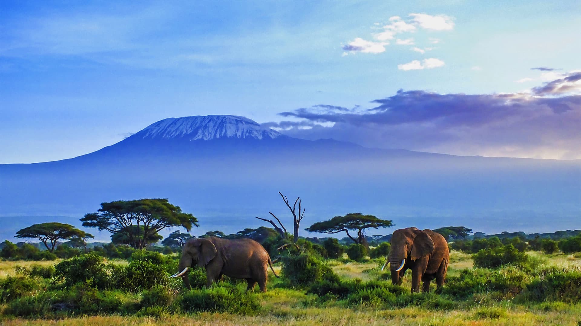 Amboseli Sopa Lodge