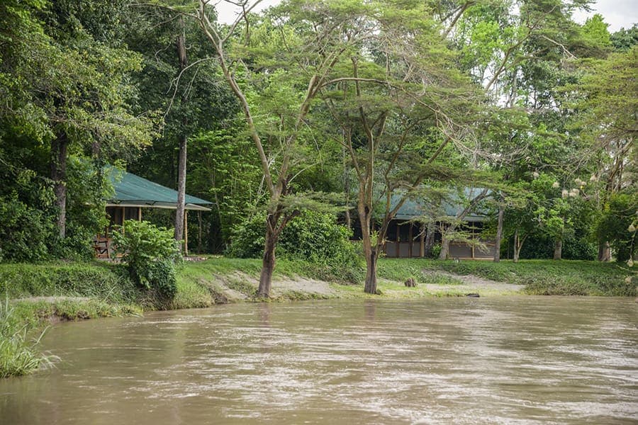 Ishasha Wilderness Camp