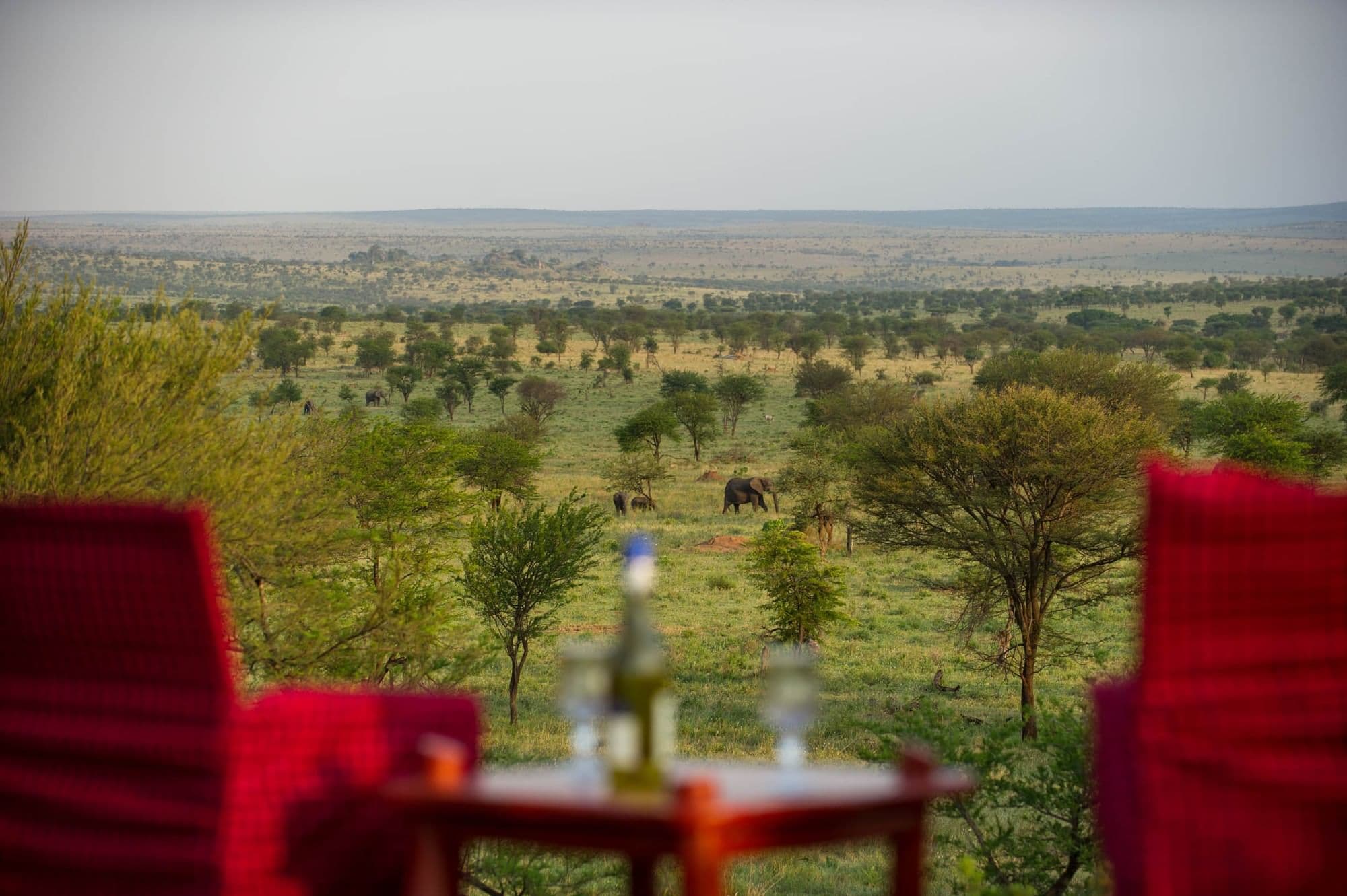 Mbuzi Mawe Serena Camp