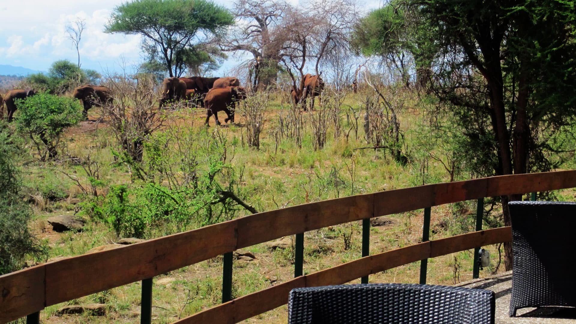 Tarangire Sopa Lodge