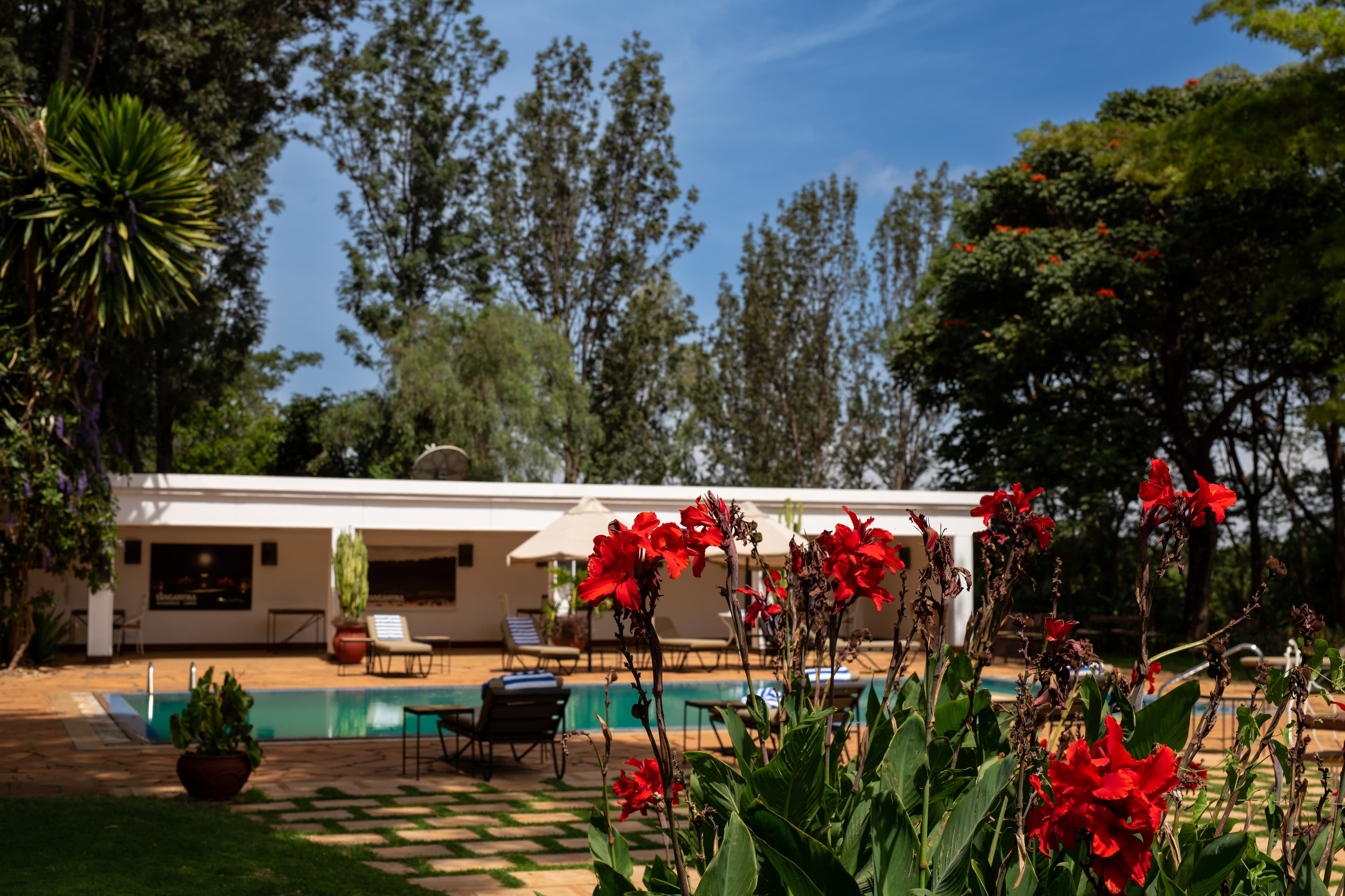 Ngorongoro Farm House
