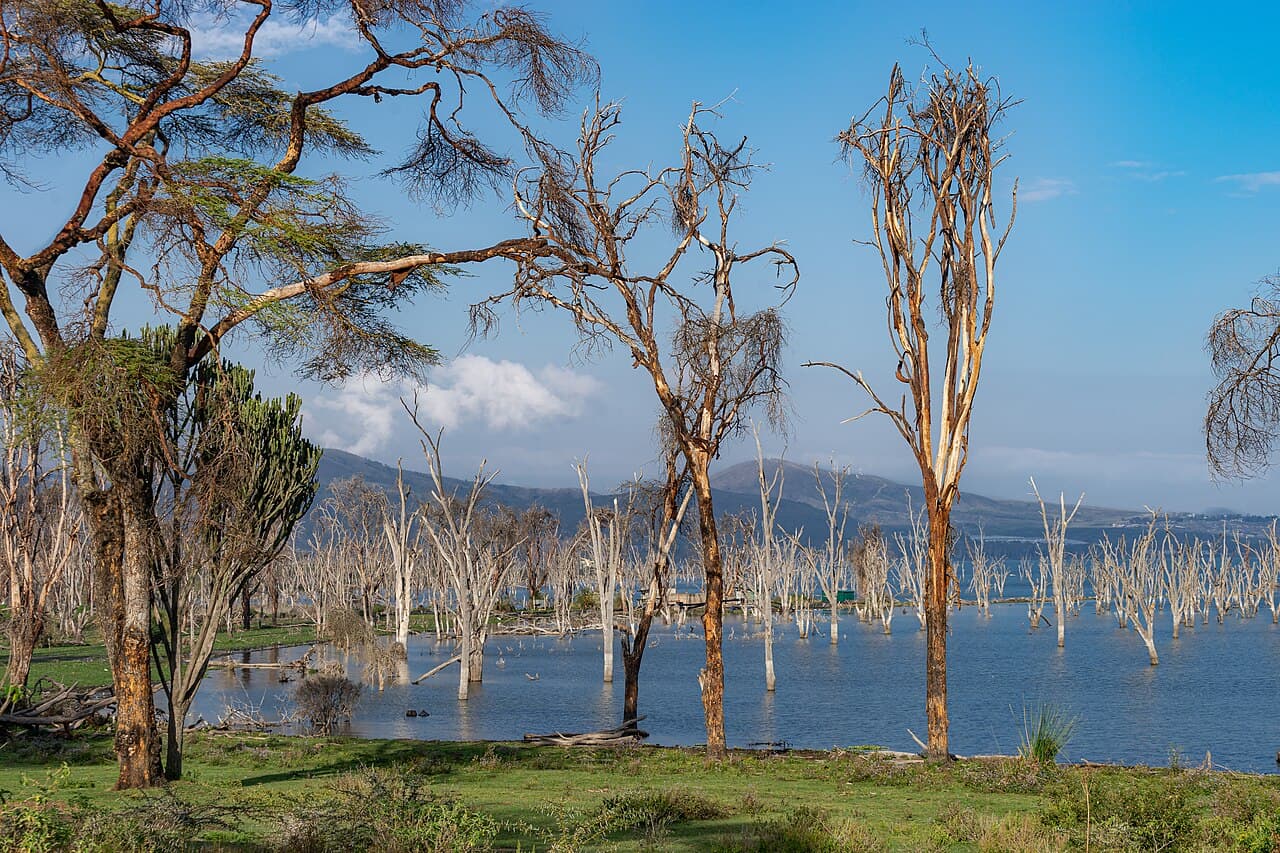 Lake Nakuru National Park