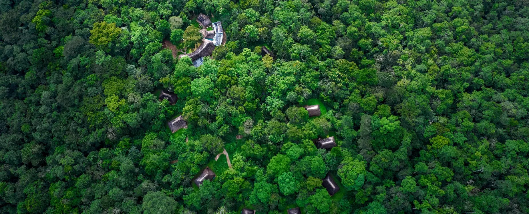 Primate Lodge Kibale